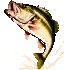 Fish icon